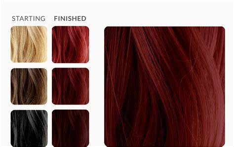 18 Images Auburn Hair Color Chart Wella
