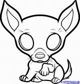 Chihuahua Coloring Pages Dog Drawing Puppy Puppies Kids Cute Printable Draw Color Chihuahuas Cartoon Drawings Animal Step Colouring Imagixs Dragoart sketch template