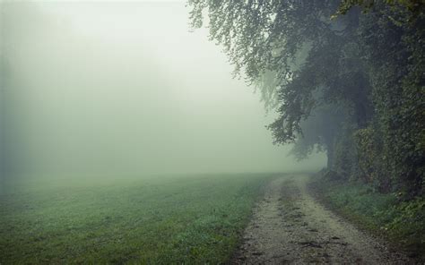 foggy field hd wallpaper background image 2560x1600
