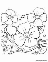 Poppy Coloring Pages Flower Kids Colouring Remembrance Flowers Sheets Drawing Anzac Clipart Pattern Red Library Poppies Printables Popular Getdrawings sketch template