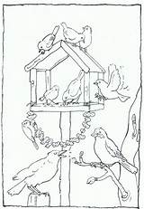 Kleurplaat Vogels Kleurplaten Feeder Feeding Voeren Parel Vögel Winterknutsels Designlooter Book Downloaden доску выбрать Uitprinten sketch template