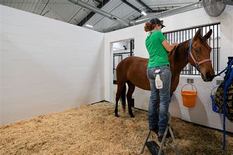 world equestrian center ocala  open