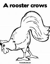 Coloring Rooster Chicken Outline Colouring Clipart Hen Library Sheet Drawing Popular Pages Little Red Getdrawings sketch template