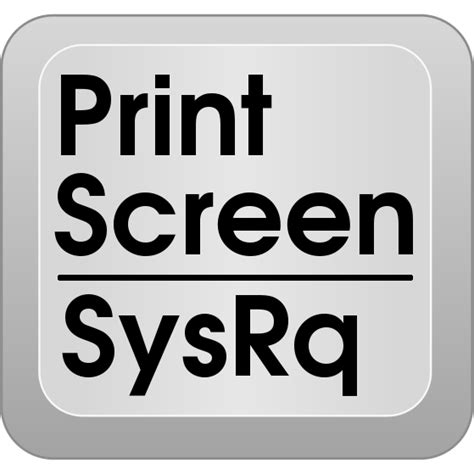 print screen key literally print  screen  snagit