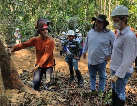 tecnicos da sedam participam de treinamento sobre manejo florestal sustentavel secretaria de