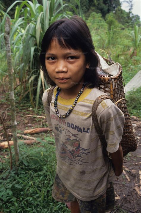Girl With Sack Indigenous Dayak Tropical Rainforest