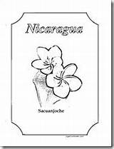 Nicaragua Sacuanjoche Guardabarranco Bandera Regionales sketch template