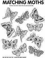 Moth Coloring Match Crayola Pages Moths Crayon Colors Matching Print Color Find Craft Markers Au sketch template