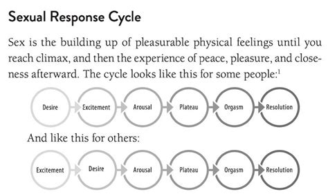 6 do you know the stages of the sexual response cycle bare marriage
