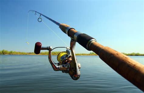 choose  fishing rod  complete guide updated