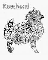 Keeshond Zentangle Coloring Color Pages Pomeranian Spitz Dog sketch template