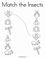 Insects Kindergarten Insect Noodle Twisty Twistynoodle Cricut Shape sketch template