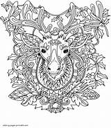 Erwachsene Weihnachten Reindeer Mandala Ausmalbilder sketch template