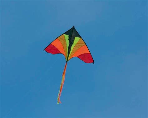 kite kite  film japaneseclassjp