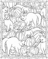 Dover Freebie Chats Publications Craftgossip Coloriages Pumpkins Doverpublications Zeichnungen Kinder Lumineux Matin Gazo sketch template
