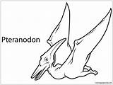 Pterodactyl Pages Coloring Pteranodon Colouring Dinosaurs Dinosaur Sketch Drawing Pteranodons Color Printable Two Paintingvalley Print Coloringpagesonly sketch template