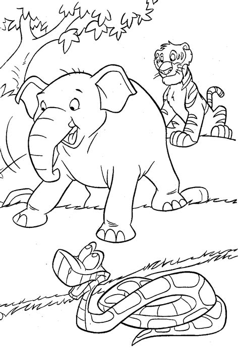 jungle animals coloring pages    jungle animals