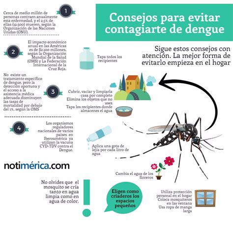 infografÍa consejos para evitar contagiarte de dengue