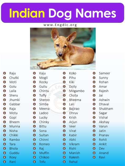 cute indian dog names male female pups engdic