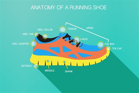 anatomy   running shoe    parts   running shoe