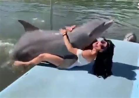 hilarious moment frisky dolphin gets a little too friendly with tourist in cuba