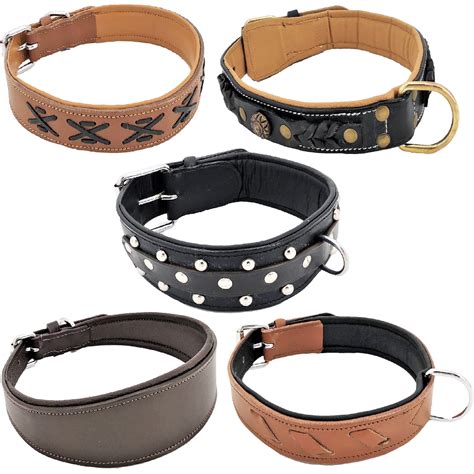 soft padded genuine leather dog collar  medium  large breeds sz xl neck