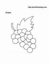 Fruit Printable Templates Coloring Fruits Template Stencils Grapes Stencil Pages Color Cute Printables Printablee Mango Worksheet Category Activity Via Printthistoday sketch template