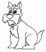 Colorat Planse Caine Desene Canine Caini Animale Colorir Cachorros Desenhos Domestice Designlooter Perro Cheie Cuvinte Educative Trafic sketch template
