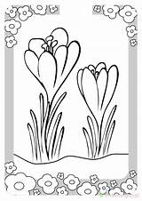 Kwiaty Wiosenne Kolorowanki Dzieci sketch template