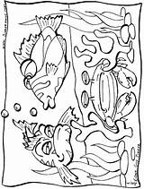Ocean Meeresgrund Unterwasser Peixe Coloringtop Colour Livro sketch template