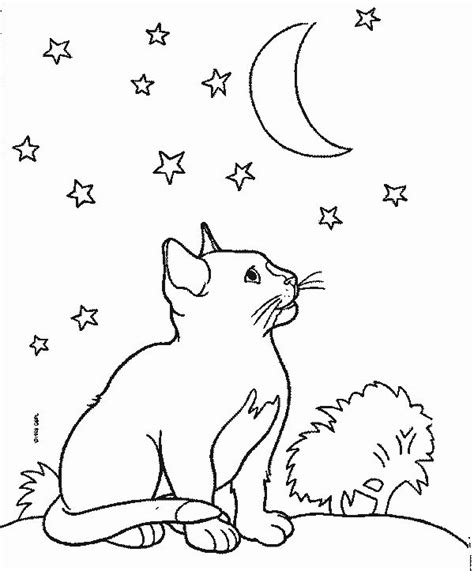 kitten gif  childrens colouring book coloring books