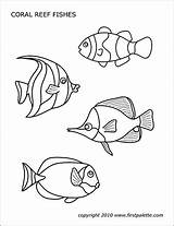 Sea Coral Reef Printable Animals Fishes Fish Coloring Pages Templates Firstpalette Animal Drawing Ocean Colouring Creatures Creature Set sketch template