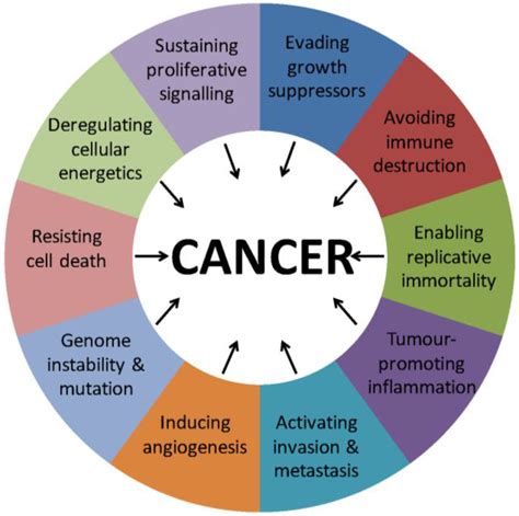 cancers  full text mechanisms  nuclear export  cancer