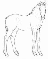 Lineart Foal Deviantart Drawings sketch template