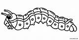 Caterpillar Raupe Ausmalbilder Catepillar Cool2bkids Monarch Nimmersatt Drawings Malvorlagen sketch template