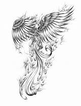 Phoenix Tattoo Drawing Rising Ashes Pheonix Designs Coloring Phönix Drawings Bird Tattoos Fenix Phenix Ink Zeichnung Phénix Flying Custom Color sketch template