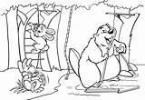 Coloring Pages Dam Beaver Getcolorings Color sketch template