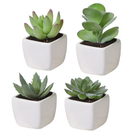 mini assorted green artificial succulent plants  square white ceramic