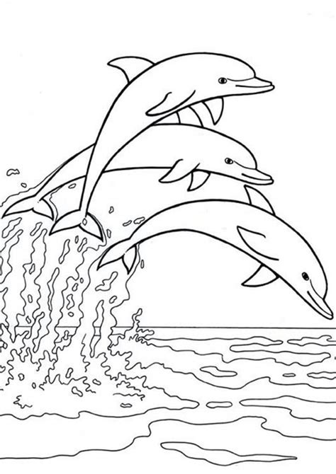 easy  print dolphin coloring pages tulamama