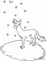 Coyote Howling Ulula Lupo Supercoloring sketch template