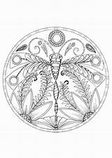 Dragonfly Coloring Pages Adults Getcolorings Printable Just Click Print Color sketch template
