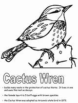 Coloring Wren Arizona Cactus Pages State Printable Template Popular Sketch sketch template