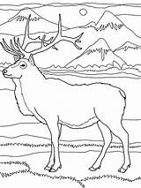 Coloring Elk Rocky Pages Mountain Mountains Drawing Pencil Drawings Color Deer Getdrawings Popular sketch template
