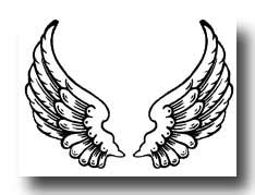 drawings  angel wings