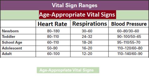 Vital Signs Adults Daily Sex Book