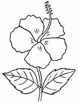 Hibiscus Outline Clipart Flower Coloring Embroidery Hand Colouring Pages Drawings Leaf Flowers Printable Mandala Domain Public Webstockreview Choose Board sketch template