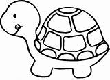 Coloring Turtle Pages Kids Print sketch template