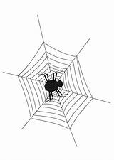 Spinnennetz Spinne Malvorlage Ragno Spin Spinnenweb Tela Kleurplaat Schulbilder sketch template