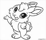 Coloring Bunny Pages Cute Baby Bunnies Realistic Printable Rabbit Getcolorings Color Drawing Kawaii Colouring Drawings Print Colorings Easter sketch template