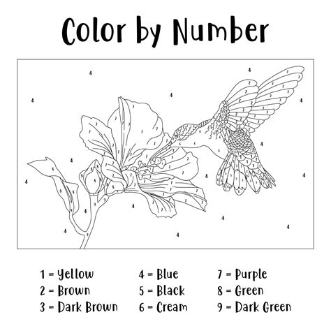 images  printable paint  numbers  adults printable